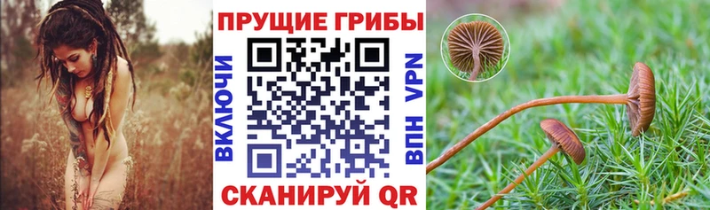 Галлюциногенные грибы мухоморы  хочу наркоту  Армянск 